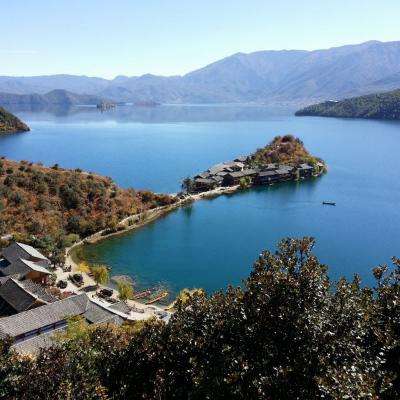 im电竞手机app下载